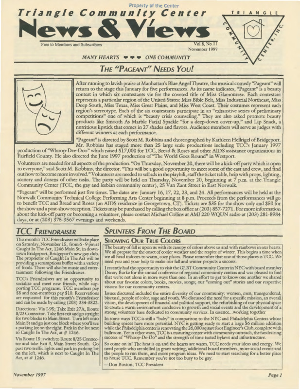 Triangle Community Center News & Views : v.8:no.11(1997:Nov.)