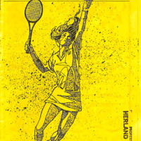 Dimensions-v4-no08-1991-03.pdf